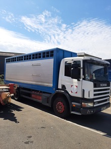 B1P014 -  CARROSSERIE BETAILLERE 1 NIVEAU BOVINS SUR CHASSIS SCANIA - AR CAPREM