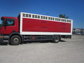 B1P024 -  CARROSSERIE BETAILLERE GUITTON 1 NIVEAU BOVINS SUR CHASSIS CABINE SCANIA - HODIESNE